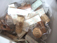 dscf1404 petit-ticket コルクマグネット