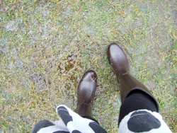 雨のロハス dscf1436