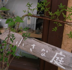 r00175771