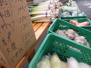 dscf5574